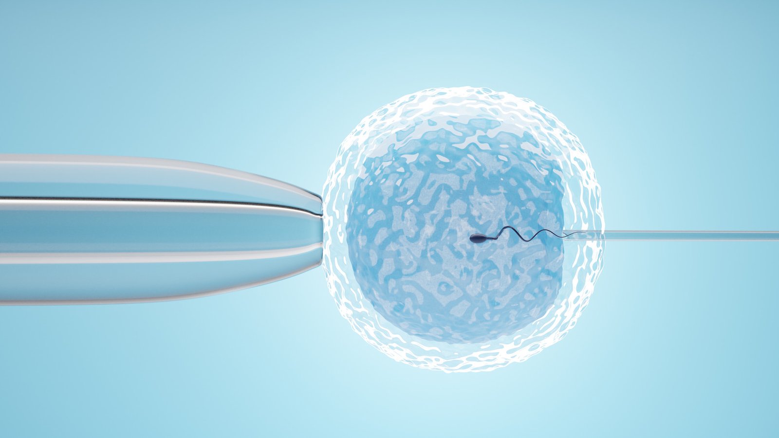 Best IVF Treatment In Gingee